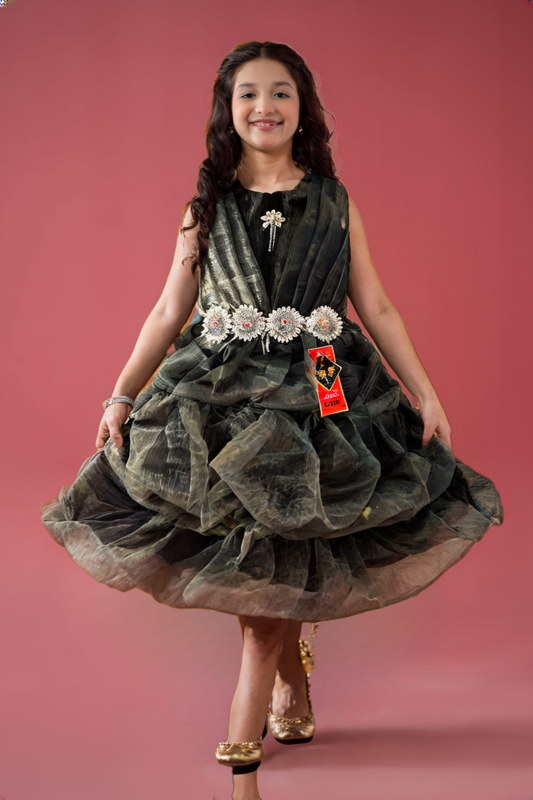 Girls Net Fancy Frock Classy